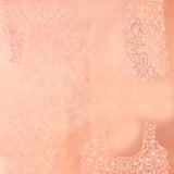 Soft Pink Net Saree With Intricate Lace Embroidery