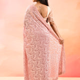 Soft Pink Net Saree With Intricate Lace Embroidery