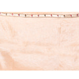 Light Cream Embroidered Tissue Silk Saree