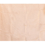 Champagne Beige Embroidered Silk Blend Saree