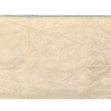 Soft Green Floral Tissue Organza Saree