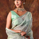 Soft Green Floral Tissue Organza Saree