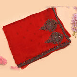Red Saree With Antique Silver Medallion Embroidery