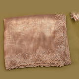 Champagne Beige Woven Saree With Hand Embroidered Pearl Floral Border