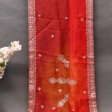 Red Organza Saree With Heavy Hand Embroidered Floral Vine Border And Star Booti