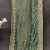 Sage Green Shaded Hand Embroidered Designer Saree With Zardosi Border