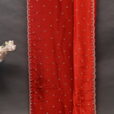Red Georgette Saree With All Over Hand Embroidered Star Motifs And Chevron Border