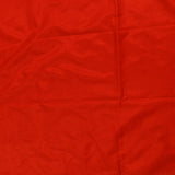 Red Dual Tone Silver & Gold Zari Horizontal Floral Stripe Pure Silk Banarasi Saree