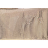 Grey Tissue Organza Saree With Hand Embroidered Pearl & Stone Border