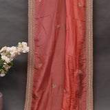 Coral Pink Hand Embroidered Sequin Striped Border Saree