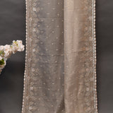 Beige Champagne Organza Hand Embroidered Sequin Fern Border Saree