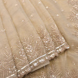 Beige Champagne Organza Hand Embroidered Sequin Fern Border Saree