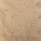 Beige Champagne Organza Hand Embroidered Sequin Fern Border Saree