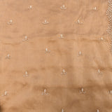 Tan Organza Hand Embroidered Minimal Booti Scalloped Border Saree