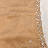Golden Tan Hand Embroidered Mirror Floral Scalloped Border Saree