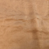 Beige Georgette Saree With Hand Embroidered Pearl Medallion Border