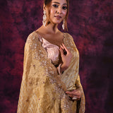 Gold Shimmer Saree With Hand Embroidered Scalloped Border Tissue Saree