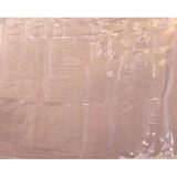 Ivory Shimmer With Silver Hand Embroidery And Scalloped Border Organza Saree