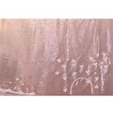 Pearl Pink With Silver Hand Embroidery And Scalloped Border Organza Saree