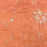 Peach Hand Embroidered Saree With Floral Vine Jaal & Zigzag Border
