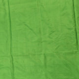 Parrot Green Gold Zari Diagonal Floral Pure Silk Banarasi Saree With Heavy Gold Pallu