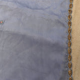 Dusty Grey-Blue Organza Saree With Hand Embroidered Floral Booti And Antique Gold Leaf Border