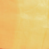 Vibrant Mustard Yellow Embroidered Organza Saree With Red Border