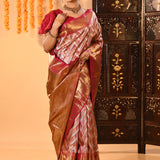 Silver And Gold Chevron Weave Zari Woven With Red Pallu Kanjivaram Saree