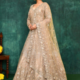 Golden Beige Net Embroidered Traditional Gown Set