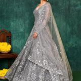 Ash Grey Net Embroidered Traditional Gown Set