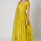 Citron Gold Leaf Anarkali Set