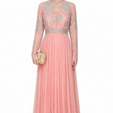 Blush Pink Georgette Gown With Silver Embroidered Sheer Bodice