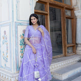 Lavender Chevron Sequined Lehenga Set
