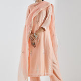 Printed Light Pink Kurti Set With Silver Floral Design