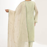 Pastel Green Silk Organza Thread Work Kurti Set