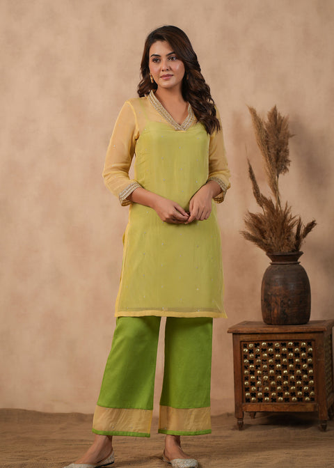<img> Pastel Green Organza Subtle Embroidered Kurti Set