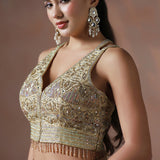Earthy Beige Sequin Work Organza Saree