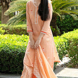 Birds Printed Peach Colour Kurta Set
