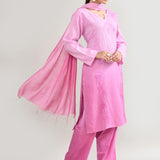 Light Pink Cotton Chikankari Suit Set