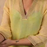 Pastel Green Organza Subtle Embroidered Kurti Set