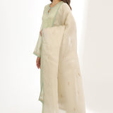 Pastel Green Silk Organza Thread Work Kurti Set