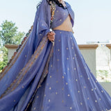 Bluish Lilac Tissue Embroidered Lehenga Set