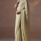 Earthy Beige Sequin Work Organza Saree