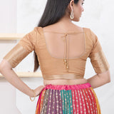 Pastel Gold Banarasi Brocade Blouse