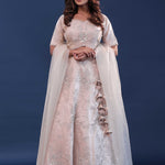 Light Beige Raw Silk Lehenga Set With Netted Dupatta