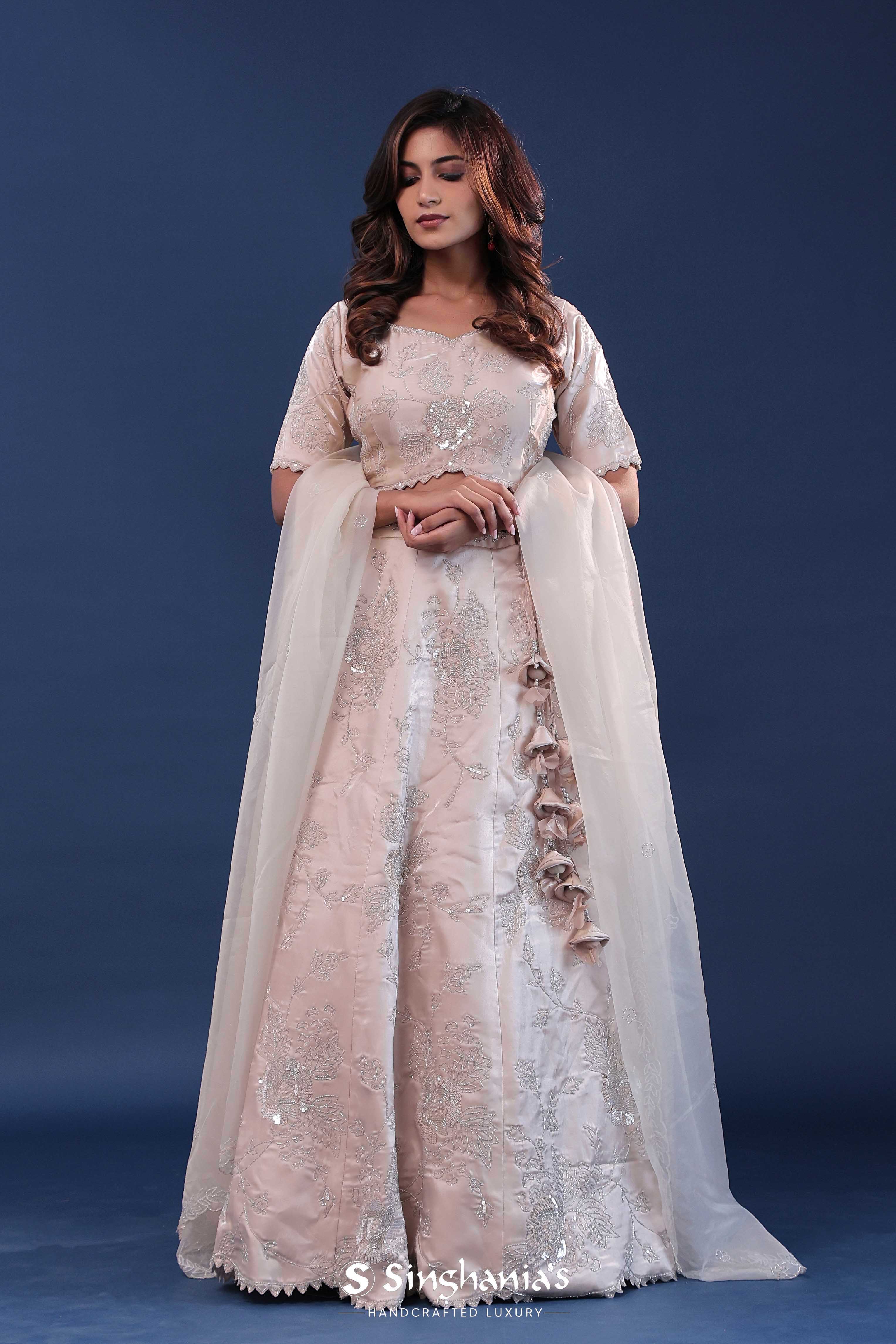 Light Beige Raw Silk Lehenga Set With Netted Dupatta