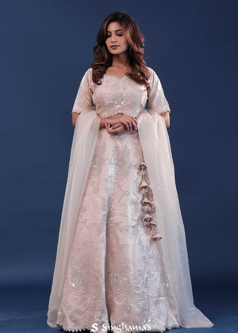 Light Beige Raw Silk Lehenga Set With Netted Dupatta