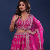Rani Pink Raw Silk Lehenga Set With Netted Dupatta