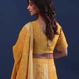 Mustard Yellow Banarasi Lehenga Set