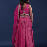 Magenta Pink Banarasi Lehenga Set With Organza Dupatta